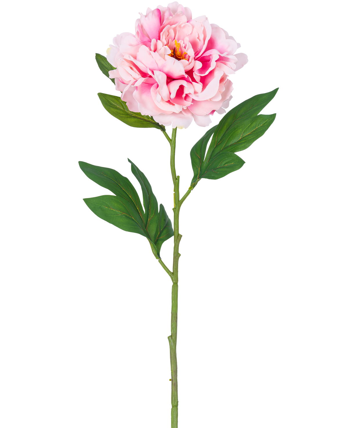 Een enkele Kunstbloem Pioen 77 cm lichtroze met weelderig groene bladeren tegen een effen witte achtergrond.
