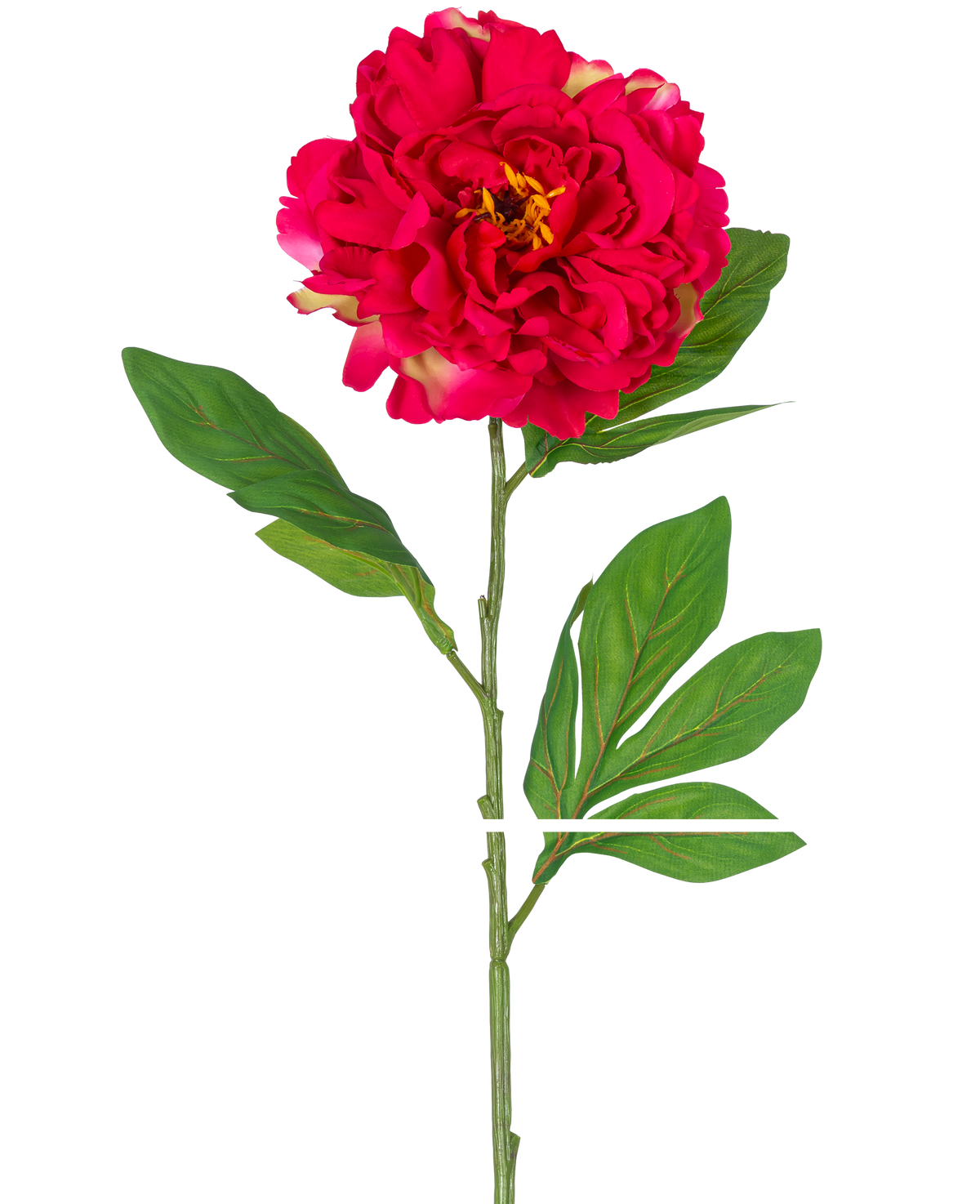 De Kunstbloem Pioen 77 cm rood is een enkele kunstpioenroos met een grote, levendige rode bloem en groene bladeren op een lange steel, afgebeeld tegen een witte achtergrond.