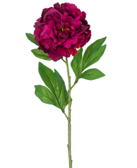 Kunstbloem Pioen 77 cm aubergine