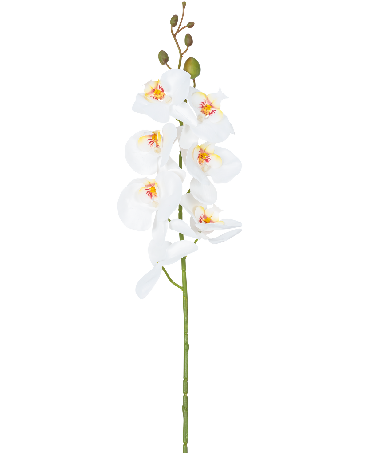 De Kunstbloem Orchidee 84 cm wit heeft een enkele steel van witte orchideeënbloemen met gele en roze hartjes en groene bloemknoppen bovenaan, tegen een effen witte achtergrond.