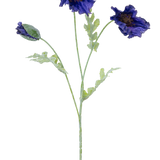 Een botanische illustratie van de Kunstbloem klaproos 73 cm donker blauw toont drie lichtgroene stengels-twee met ruches van donkerblauwe bloemen en een met een gesloten knop tegen een witte achtergrond.