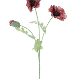 Aquarel illustratie van de Kunstbloem klaproos 73 cm mauve, met drie donkerrode bloemen met groene stengels en bladeren, tegen een effen witte achtergrond.