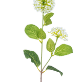 De Kunstbloem Sneeuwbal/Viburnum (70 cm) heeft twee trossen kleine witte bloemen en meerdere groene ovale bladeren op een steel, tegen een witte achtergrond.