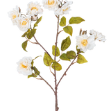 De Kunsttak roos 72 cm wit heeft een enkele bruine stengel met meerdere takken, groene bladeren en verschillende grote witte bloemen met gele harten, geïsoleerd op een witte achtergrond.