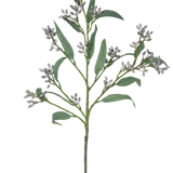 De Kunsttak Eucalyptus bes 78 cm grijs heeft een enkele groene tak met lange, smalle bladeren en trosjes kleine, grijsachtige knoppen, afgebeeld tegen een witte achtergrond.
