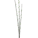 De Kunstbloem Salix wilg 70 cm heeft drie slanke bruine takken met kleine groene knoppen en lichtgrijze, pluizige katjes, gerangschikt langs de stengels tegen een effen witte achtergrond.
