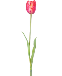 Kunstbloem Franse Tulp 60 cm rood