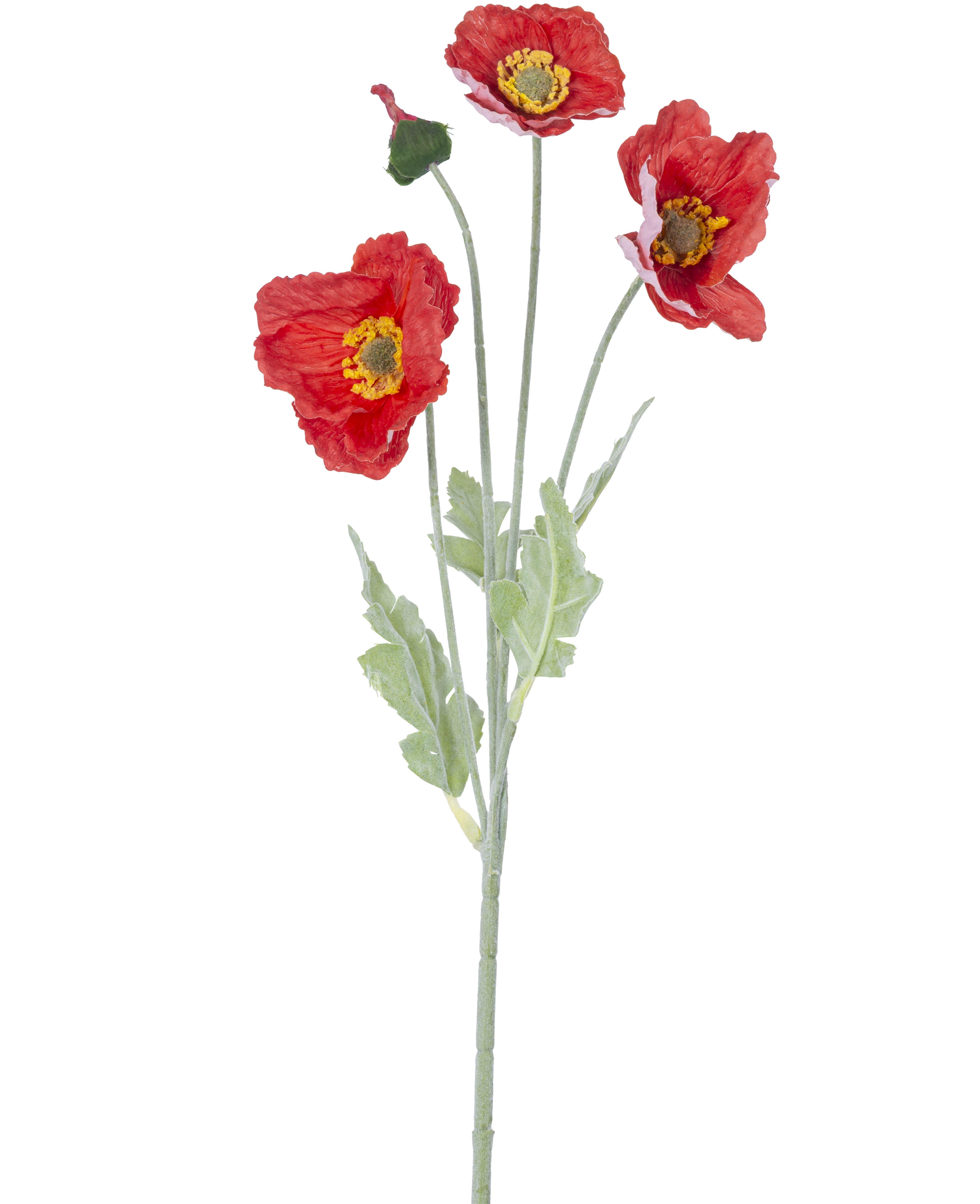 Poppy Rood Kunstbloem Poppy Real Touch rood 60 cm