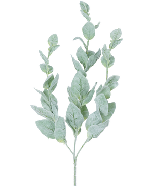 Certificaat Bruiloft Uitnodiging Banner Met Groene Eucalyptus Bladeren En Takken Op Een Zwarte Certificaat Bruiloft Uitnodiging Banner Met Groene Eucalyptus Bladeren En Takken Op Een Zwarte