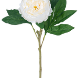 De Kunstpioen Real Touch Wit 58cm heeft een enkele witte pioen met gelaagde bloemblaadjes en een geel hart op een lange groene steel met meerdere grote groene bladeren, tegen een effen witte achtergrond.