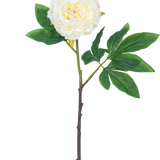 Kunstbloem Pioenroos 61 cm wit: een enkele witte pioenroos met gelaagde bloemblaadjes, groene bladeren en een lange bruine staal, geïsoleerd op witte achtergrond.