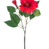 De Kunstbloem Hibiscus 63 cm rood heeft een enkele steel met levendige rode hibiscusbloemen en groene bladeren tegen een effen witte achtergrond.