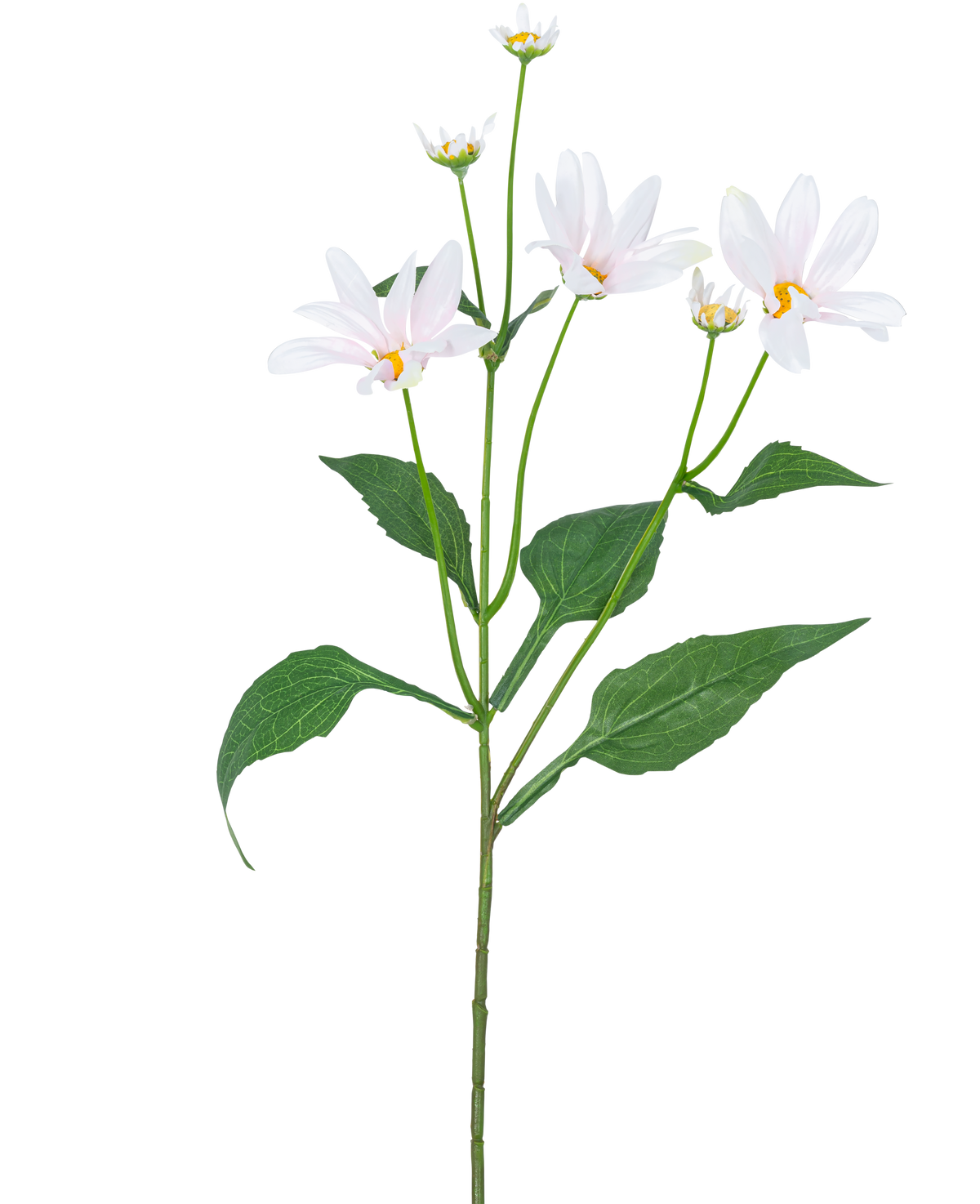 De Kunstbloem Madelief 76 cm wit heeft een enkele groene steel met enkele grote bladeren en vijf margrietachtige witte bloemen met een geel hart, tegen een effen witte achtergrond.