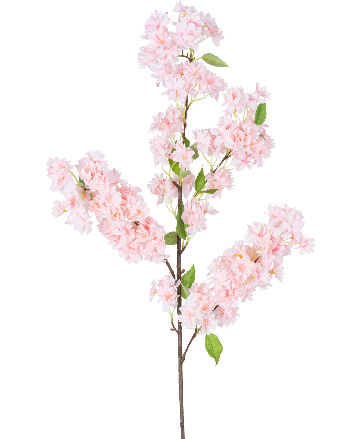 De Kunst Kersenbloesem 100 cm roze heeft een lange bruine steel, trossen lichtroze kersenbloesem bloemen en groene bladeren tegen een witte achtergrond.