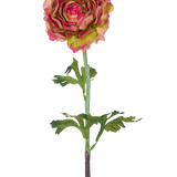 De Kunstbloem Ranonkel 51 cm roze/groen is een enkele kunst ranonkel met roze en groene bloemblaadjes, groene bladeren en een lange steel, tegen een witte achtergrond.