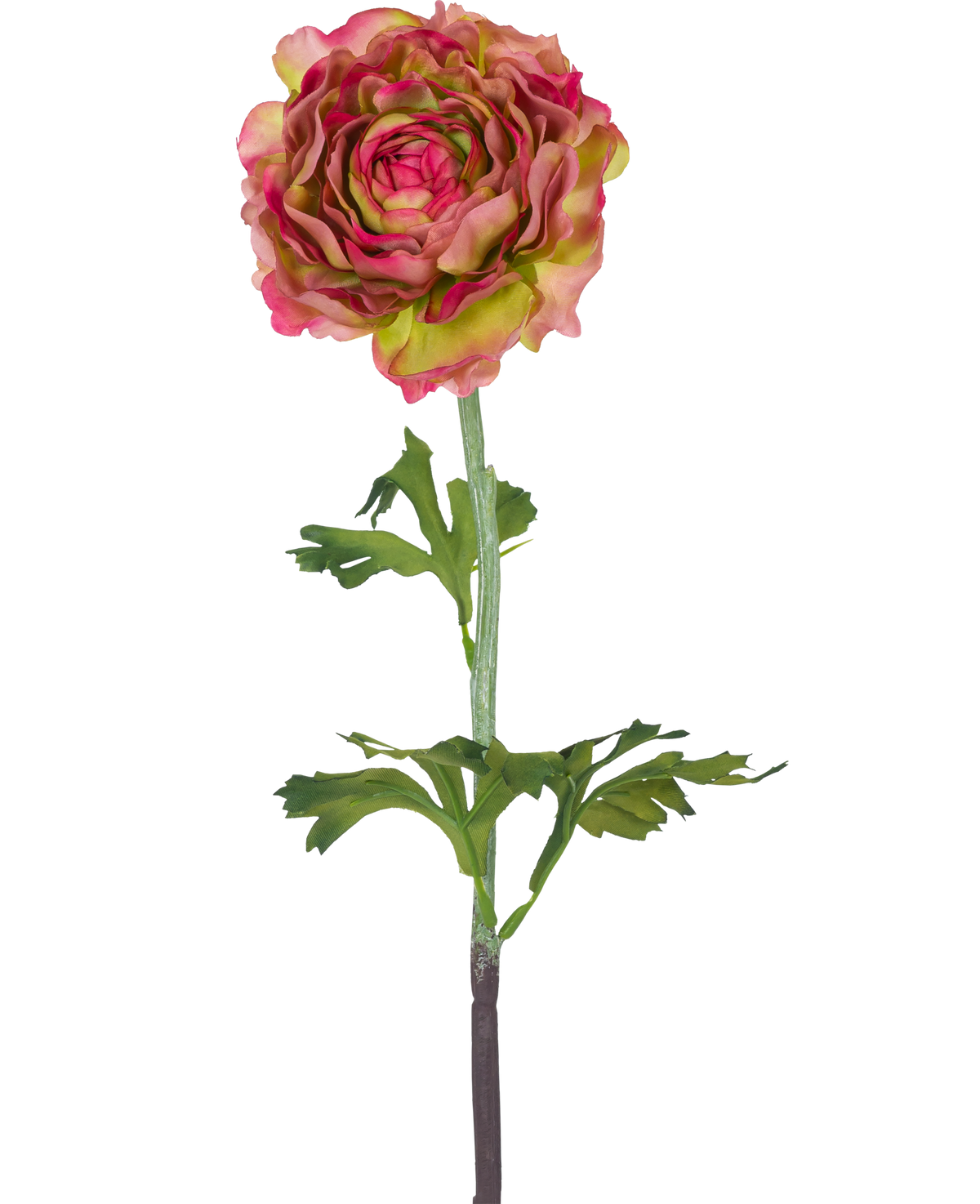 De Kunstbloem Ranonkel 51 cm roze/groen is een enkele kunst ranonkel met roze en groene bloemblaadjes, groene bladeren en een lange steel, tegen een witte achtergrond.