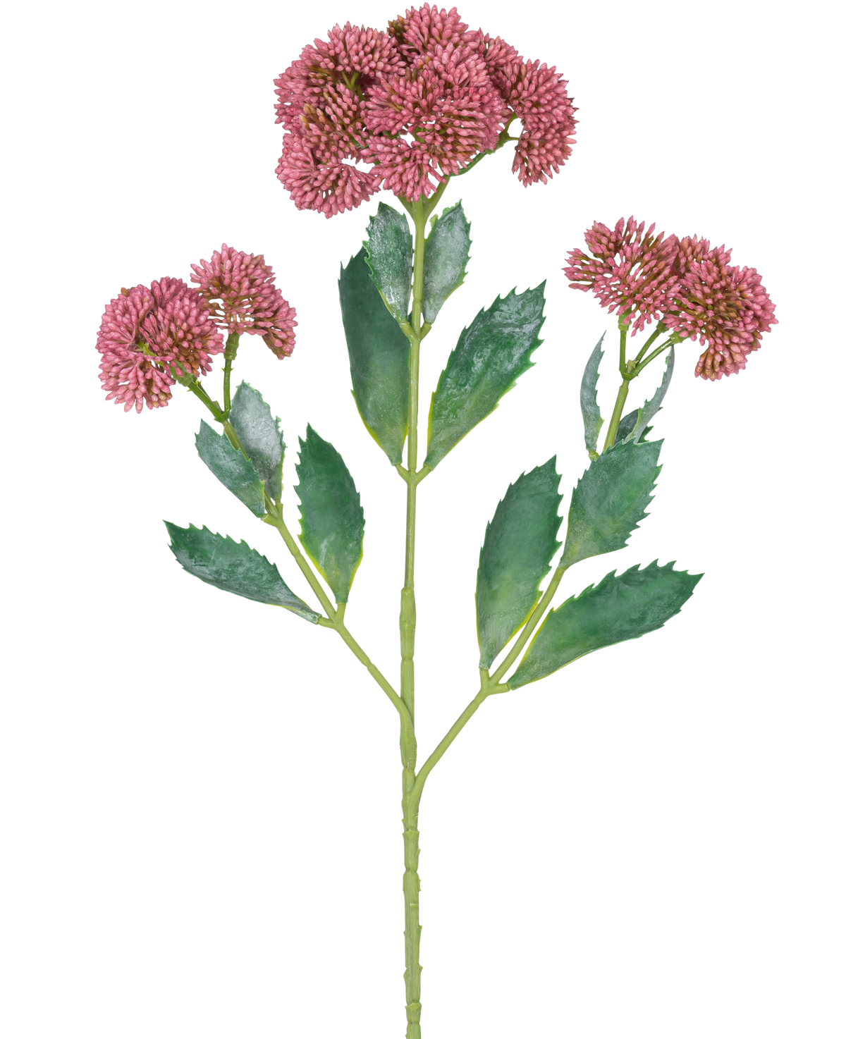 Een digitale illustratie van de Kunsttak Sedum 48 cm rood toont een bloeiende plant met groene bladeren en trossen kleine, roze-paarse bloemen op vertakte stengels, tegen een witte achtergrond.