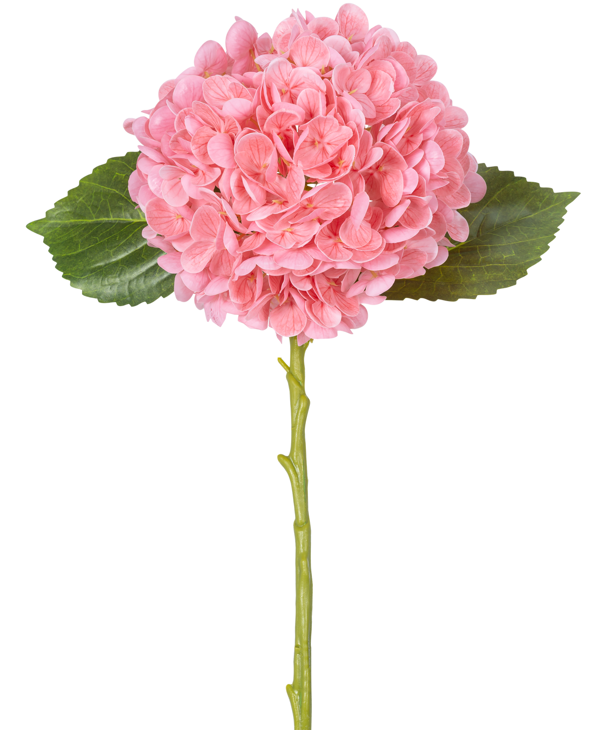 De Kunstbloem Charlotte hortensia Real Touch Roze 49 cm heeft een enkele roze hortensia met dichte, ronde trossen bloemblaadjes, twee groene bladeren en een lange groene steel op een witte achtergrond.