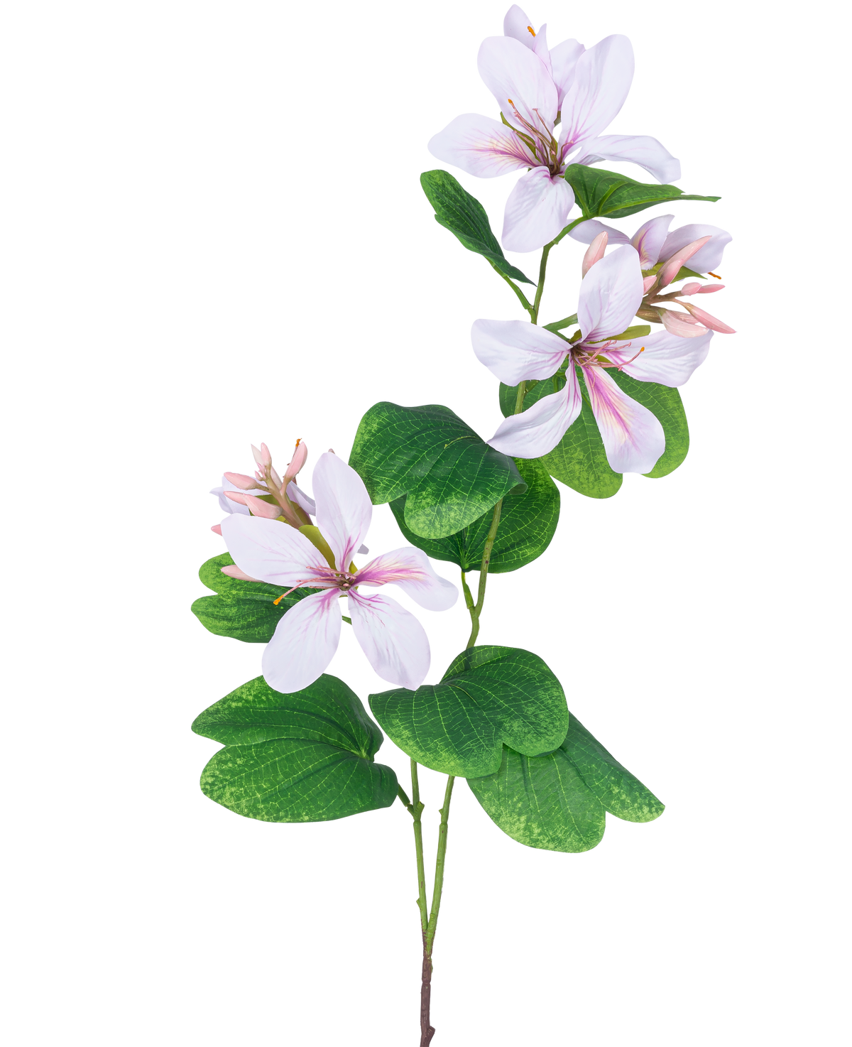 De Kunstbloem Rhododendron 85 cm licht roze heeft een slanke groene steel met trossen grote, witte bloemen met lichtroze hart en nerven, geaccentueerd door brede groene bladeren, tegen een witte achtergrond.