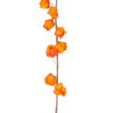 Een enkele stengel van Kunstbloem Physalis Lampion 90 cm oranje, met meerdere fel oranje, lampionvormige peulen, wordt getoond tegen een effen witte achtergrond.