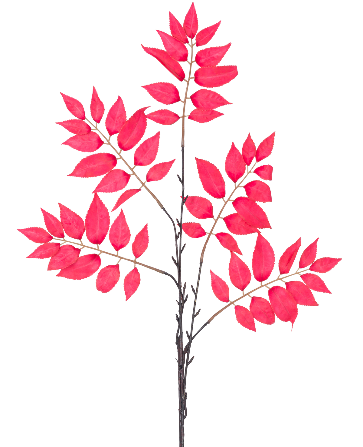 De Kunsttak Varen vertakt 83 cm rood heeft een aantal dunne stengels met clusters van levendige rode bladeren, allemaal symmetrisch gerangschikt op een witte achtergrond.