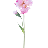 De Kunstbloem Iris 80 cm roze heeft een enkele roze irisstengel met ruches in de bloemblaadjes en een gesloten knop, tegen een effen witte achtergrond.