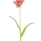 Een Kunstbloem Franse Parkiet Tulp 76 cm in rood/geel met ruches op de bloemblaadjes, een lange groene steel en twee langwerpige groene bladeren, tegen een witte achtergrond.