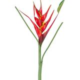 De Kunstbloem Heliconia 90 cm rood heeft een enkele kunst Heliconia bloem met levendige rode en gele schutbladeren op een lange groene steel, compleet met slanke bladeren, perfect om te laten zien tegen een witte achtergrond.