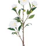 De Kunstbloem Camellia 80 cm wit heeft een enkele bruine steel met meerdere groene bladeren en verschillende witte camelia bloemen, sommige bloeiend en anderen in knopvorm, allemaal tegen een effen witte achtergrond.