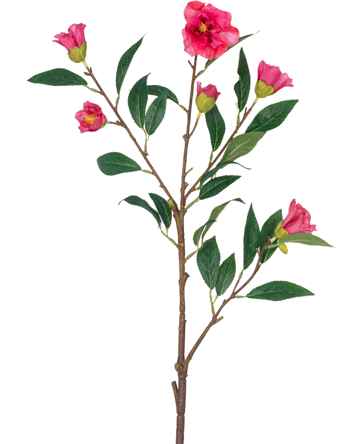 De Kunstbloem Camellia 80 cm roze is een enkele stengel met meerdere takken, groene bladeren en verschillende felroze bloemen en knoppen, geïsoleerd op een witte achtergrond.