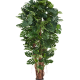 Kunstplant Philodendron van 230 cm met grote, glanzend groene bladeren in een zwarte pot, afgebeeld tegen een effen witte achtergrond.