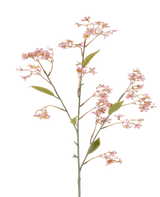Een enkele stengel van de Kunstbloem Daphne van 108 cm in oudroze, met kleine trossen zachtroze bloemen en enkele groene blaadjes tegen een witte achtergrond.