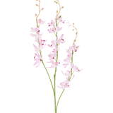 Twee groene stelen met vertakte trossen van delicate, lichtpaarse cymbidium-orchideebloemen en kleine knoppen aan dunne, gebogen takjes, afgebeeld tegen een effen witte achtergrond. Het afgebeelde product is de Kunstbloem Cymbidium 95 cm paars.