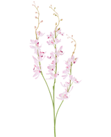 Twee groene stelen met vertakte trossen van delicate, lichtpaarse cymbidium-orchideebloemen en kleine knoppen aan dunne, gebogen takjes, afgebeeld tegen een effen witte achtergrond. Het afgebeelde product is de Kunstbloem Cymbidium 95 cm paars.
