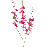 Drie stelen van de Kunstbloem Cymbidium van 95 cm in bordeauxrood, met levendige bloemen en kleine knopjes, afgebeeld tegen een witte achtergrond.