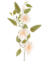 Een gedetailleerde Kunstbloem Clematis van 81 cm in de kleur ‘oud crème’ bestaat uit drie lichtroze bloemen, diverse groene bladeren en enkele knoppen, tegen een effen witte achtergrond.