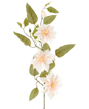 Een gedetailleerde Kunstbloem Clematis van 81 cm in de kleur ‘oud crème’ bestaat uit drie lichtroze bloemen, diverse groene bladeren en enkele knoppen, tegen een effen witte achtergrond.