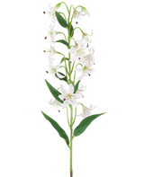 Een lange groene steel met verschillende crèmekleurige en bruine kunstlelies, elk met langgerekte groene bladeren, gepresenteerd tegen een witte achtergrond — Kunstbloem Lelie 82 cm crème/bruin.