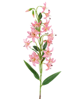 Een enkele steel van de Kunstbloem Lelie 82 cm fuchsia, met levendige fuchsia-kleurige leliebloemen met donkere vlekjes, groene bladeren en knoppen tegen een witte achtergrond.