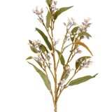 Een enkele Kunstbloem-eucalyptusstengel van 78 cm in crème/bruin, met verschillende takken met groene bladeren en trossen kleine, ronde bloemen, afgebeeld tegen een effen witte achtergrond.