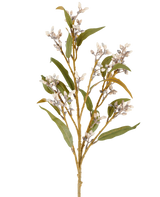Een enkele Kunstbloem-eucalyptusstengel van 78 cm in crème/bruin, met verschillende takken met groene bladeren en trossen kleine, ronde bloemen, afgebeeld tegen een effen witte achtergrond.