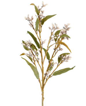 Een enkele Kunstbloem-eucalyptusstengel van 78 cm in crème/bruin, met verschillende takken met groene bladeren en trossen kleine, ronde bloemen, afgebeeld tegen een effen witte achtergrond.