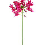 Een enkele, lange groene steel van de Kunstbloem Agapanthus 75 fuchsia draagt aan de top een tros levendig roze bloemen, afstekend tegen een effen witte achtergrond.