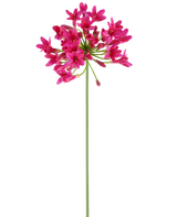 Een enkele, lange groene steel van de Kunstbloem Agapanthus 75 fuchsia draagt aan de top een tros levendig roze bloemen, afstekend tegen een effen witte achtergrond.