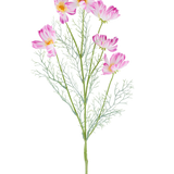 Een Kunstbloem Cosmo van 78 cm in crème/roze, met meerdere lichtroze en witte cosmosbloemen en vederachtige groene blaadjes, afgebeeld tegen een effen witte achtergrond.