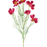 De Kunstbloem Cosmo 78 cm fuchsia bestaat uit levendige fuchsia-kleurige cosmosbloemen met gele hartjes en delicate, vederachtige groene blaadjes, tegen een witte achtergrond.