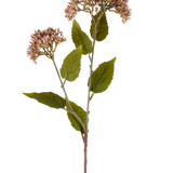 Een enkele stengel van Kunstbloem Sedum 67 cm mauve heeft twee trossen kleine, lichtmauve bloemen en talrijke groene bladeren tegen een witte achtergrond.