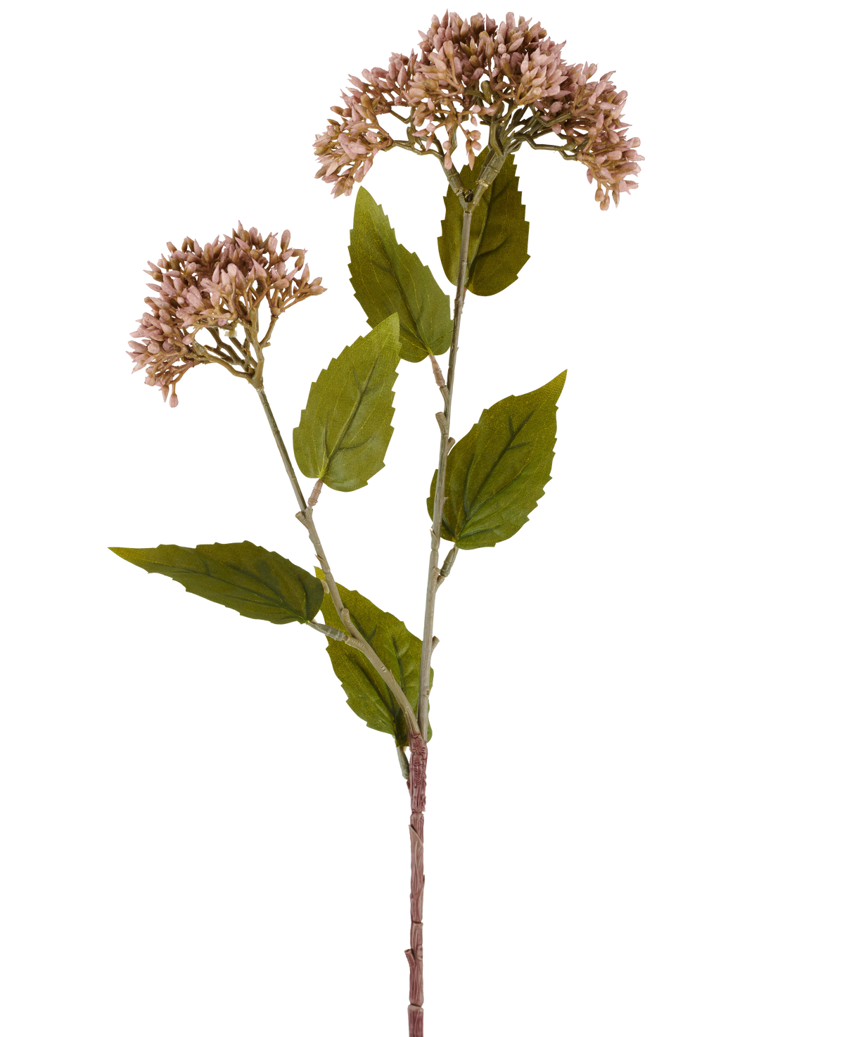 Een enkele stengel van Kunstbloem Sedum 67 cm mauve heeft twee trossen kleine, lichtmauve bloemen en talrijke groene bladeren tegen een witte achtergrond.