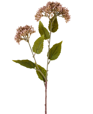 Een enkele stengel van Kunstbloem Sedum 67 cm mauve heeft twee trossen kleine, lichtmauve bloemen en talrijke groene bladeren tegen een witte achtergrond.