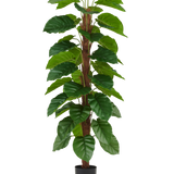 De Kunstplant Epipremnum aureum 180 cm heeft grote, glanzend groene bladeren die langs een centrale bruine stengel zijn gerangschikt en wordt geleverd in een kleine zwarte pot, afgebeeld tegen een effen witte achtergrond.